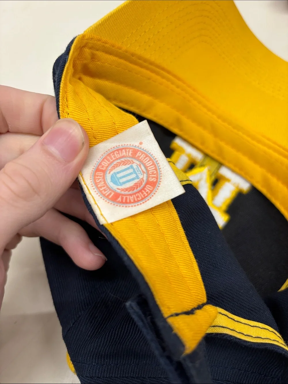 Michigan Baseball Cap